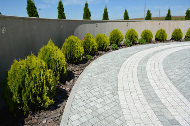 Best Residential Paver Driveway  in College, AK